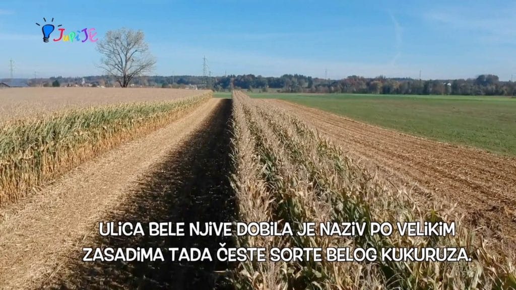 Read more about the article U Njegoševoj ulici se nalazio mlin