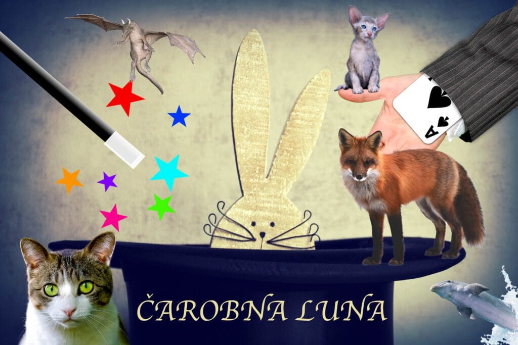 Read more about the article Čarobna Luna