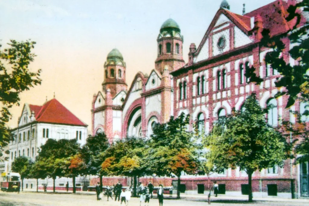 Read more about the article Jevrejska i Futoška